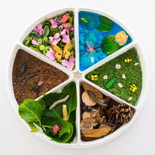 Afbeelding in Gallery-weergave laden, Inspire My Play Playtray